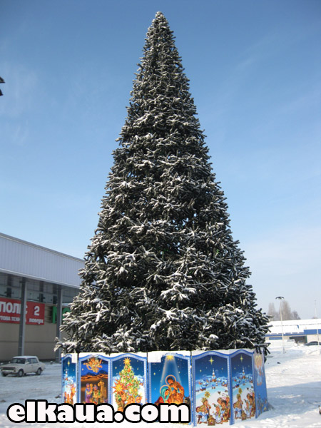 ����� ��������� ���� 2012