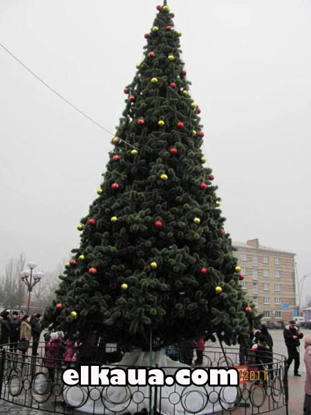 ̳��� ����������� ������ ������ ������ ������ �����������